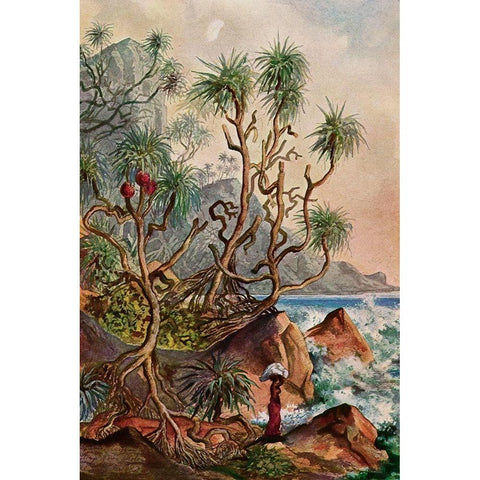 Pandanus bei Matura Schraubenpalmen an der Sudkuste von Ceylon Black Modern Wood Framed Art Print with Double Matting by Haeckel, Ernst