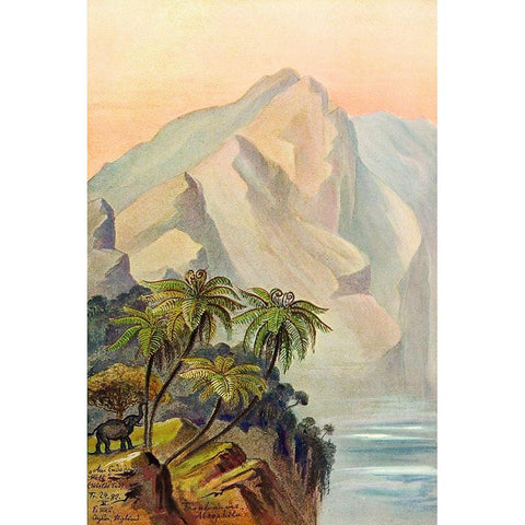 Am Ende der Welt Worlds End. Ceylon White Modern Wood Framed Art Print by Haeckel, Ernst