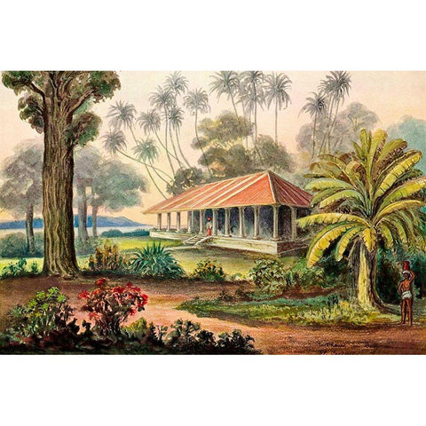 Rasthaus von Belligemma Sudkuste von Ceylon White Modern Wood Framed Art Print by Haeckel, Ernst