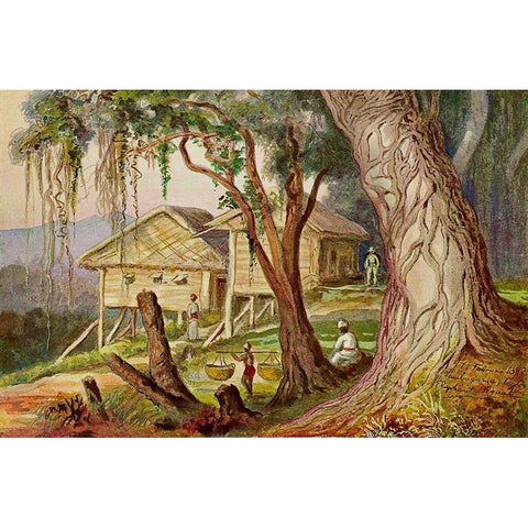 Elefanten-Corral Lambugana, Ceylon White Modern Wood Framed Art Print by Haeckel, Ernst