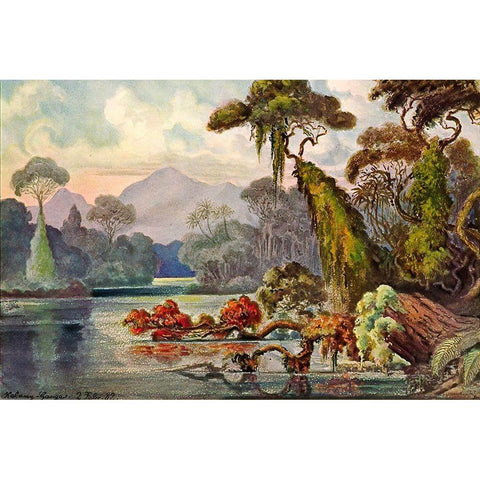 Urwald am Blauen FluÃŸ Kelany-Ganga, Ceylon White Modern Wood Framed Art Print by Haeckel, Ernst