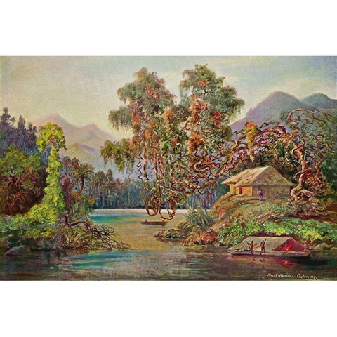 Aralien mit Lianen am Schwarzen Flusse (Ceylon) White Modern Wood Framed Art Print by Haeckel, Ernst