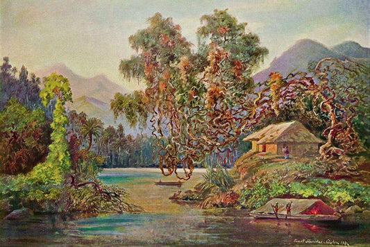 Image Only