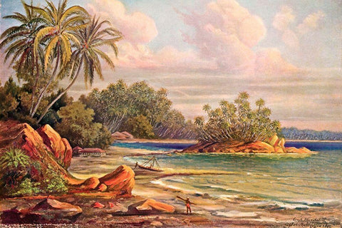 Cocos-Insel bei Belligemma (Gan-Duva) Ceylon Black Ornate Wood Framed Art Print with Double Matting by Haeckel, Ernst