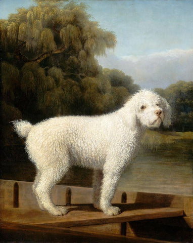 White Poodle in a Punt, c. 1780 Black Ornate Wood Framed Art Print with Double Matting by Stubbs, George