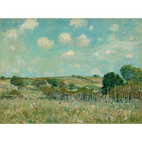 Meadow, 1875 Black Modern Wood Framed Art Print with Double Matting by Sisely, Alfred