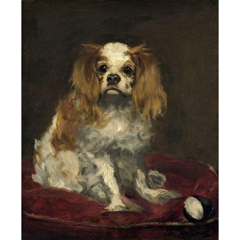 A King Charles Spaniel Black Modern Wood Framed Art Print by Manet, Edouard