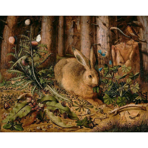 A Hare in the Forest White Modern Wood Framed Art Print by Hoffmann, Hans