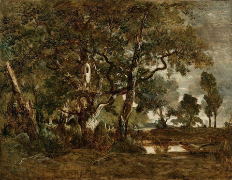 Forest of Fontainebleau, Cluster of Tall Trees Overlooking the Plain of Clair-Bois at the Edge of Ba Black Ornate Wood Framed Art Print with Double Matting by Rousseau, Theodore