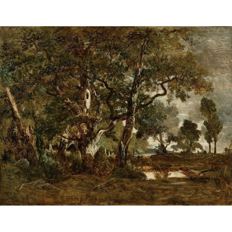 Forest of Fontainebleau, Cluster of Tall Trees Overlooking the Plain of Clair-Bois at the Edge of Ba Black Modern Wood Framed Art Print by Rousseau, Theodore