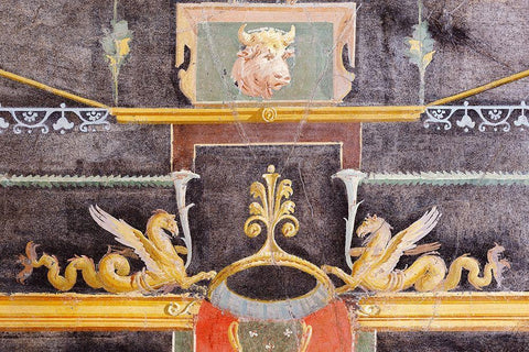 Wall Fragment with Bulls Head and Winged Sea Monsters on Black Ground White Modern Wood Framed Art Print with Double Matting by Unknown 1st Century Roman Artisan