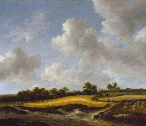 Landscape with a Wheatfield White Modern Wood Framed Art Print with Double Matting by van Ruisdael, Jacob