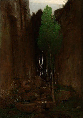 Quell in einer Felsschlucht (Spring in a Narrow Gorge) Black Ornate Wood Framed Art Print with Double Matting by Boulin, Arnold