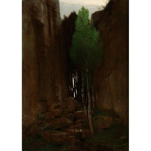 Quell in einer Felsschlucht (Spring in a Narrow Gorge) White Modern Wood Framed Art Print by Boulin, Arnold