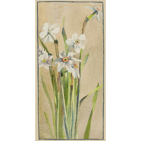 White Narcissus with Gray Accents Gold Ornate Wood Framed Art Print with Double Matting by Overbeck, Hannah Borger