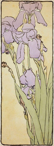 Iris White Modern Wood Framed Art Print with Double Matting by Overbeck, Hannah Borger