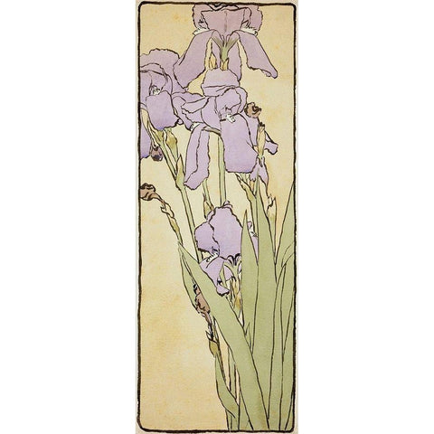 Iris Black Modern Wood Framed Art Print by Overbeck, Hannah Borger