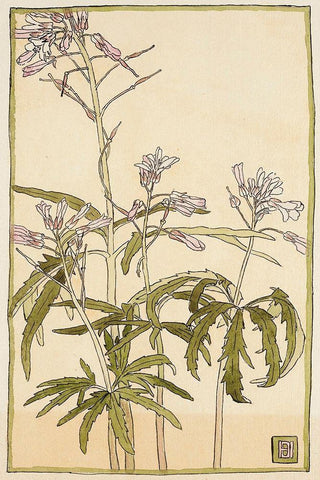 Pink Flowers with Spiky Green Leaves White Modern Wood Framed Art Print with Double Matting by Overbeck, Hannah Borger