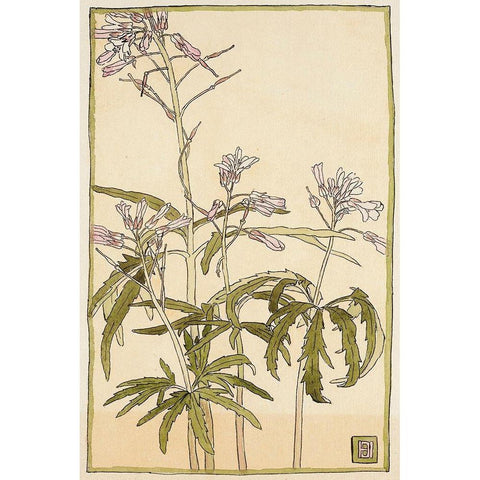 Pink Flowers with Spiky Green Leaves Gold Ornate Wood Framed Art Print with Double Matting by Overbeck, Hannah Borger