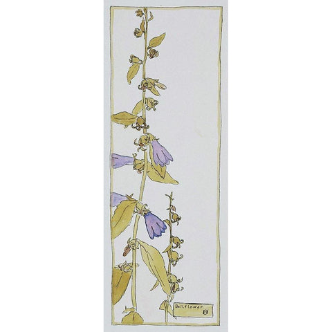 Bell Flower Black Modern Wood Framed Art Print by Overbeck, Hannah Borger