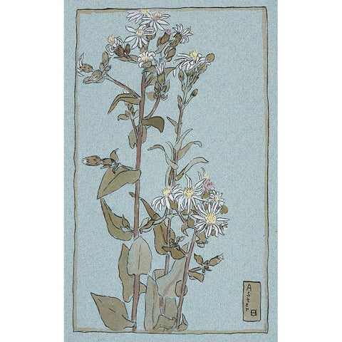 Aster on Green Ground Gold Ornate Wood Framed Art Print with Double Matting by Overbeck, Hannah Borger
