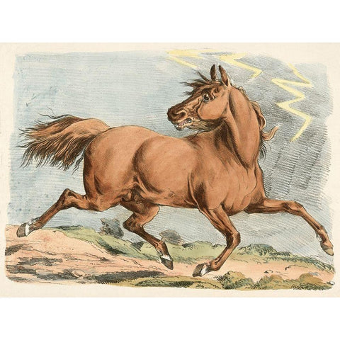 Brown Horse Running, 1817 Black Modern Wood Framed Art Print with Double Matting by Alken, Henry Thomas