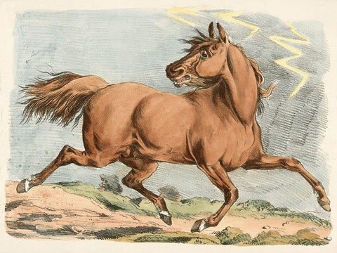 Brown Horse Running, 1817 Black Ornate Wood Framed Art Print with Double Matting by Alken, Henry Thomas