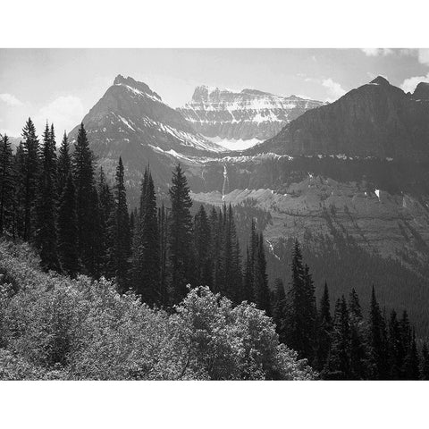 Trees, Bushes and Mountains, Glacier National Park, Montana - National Parks and Monuments, 1941 Black Modern Wood Framed Art Print with Double Matting by Adams, Ansel