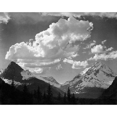 Trees in Glacier National Park, Montana - National Parks and Monuments, 1941 Gold Ornate Wood Framed Art Print with Double Matting by Adams, Ansel