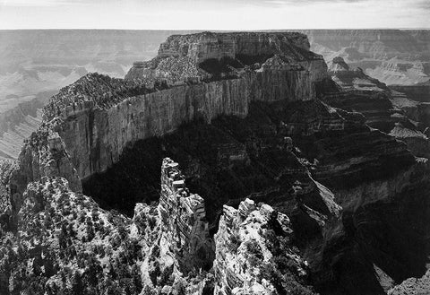 Close-in view of curred cliff, Grand Canyon National Park, Arizona, 1941 Black Ornate Wood Framed Art Print with Double Matting by Adams, Ansel