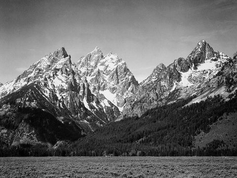 Grassy valley and snow covered peaks, Grand Teton National Park, Wyoming, 1941 Black Ornate Wood Framed Art Print with Double Matting by Adams, Ansel