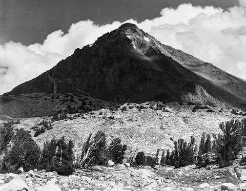 Pinchot Pass, Mt. Wynne, Kings River Canyon,  proposed as a national park, California, 1936 Black Ornate Wood Framed Art Print with Double Matting by Adams, Ansel