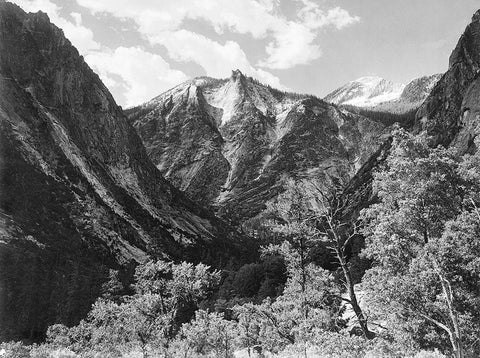 Paradise Valley, Kings River Canyon, proposed as a national park, California, 1936 Black Ornate Wood Framed Art Print with Double Matting by Adams, Ansel