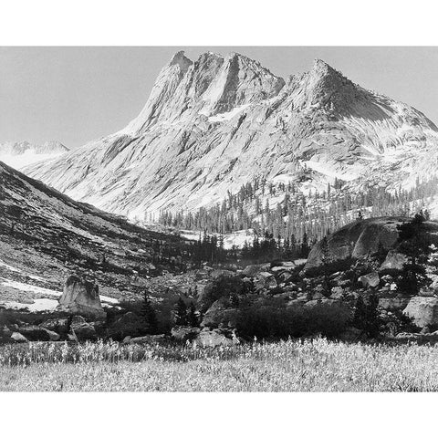 Boaring River, Kings Region, Kings River Canyon, proposed as a national park, California, 1936 White Modern Wood Framed Art Print by Adams, Ansel