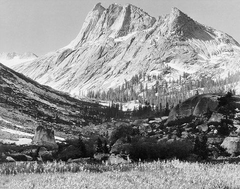 Boaring River, Kings Region, Kings River Canyon, proposed as a national park, California, 1936 Black Ornate Wood Framed Art Print with Double Matting by Adams, Ansel