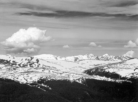 View at timberline, dark foreground, light snow capped mountain, gray sky, in Rocky Mountain Nationa White Modern Wood Framed Art Print with Double Matting by Adams, Ansel