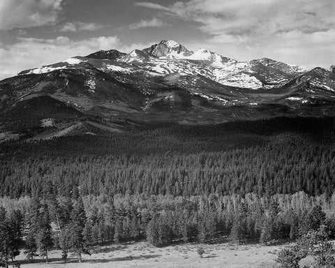 Trees in foreground, snow covered mountain in background, in Rocky Mountain National Park, Colorado, White Modern Wood Framed Art Print with Double Matting by Adams, Ansel