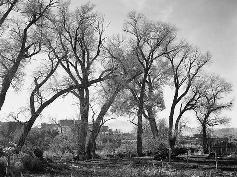 At Taos Pueblo National Historic Landmark, New Mexico, ca. 1941-1942 White Modern Wood Framed Art Print with Double Matting by Adams, Ansel