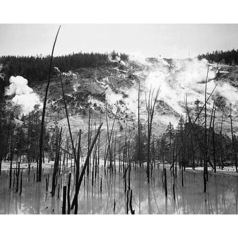 Barren trunks in water near steam rising from mountains, Roaring Mountain, Yellowstone National Park White Modern Wood Framed Art Print by Adams, Ansel