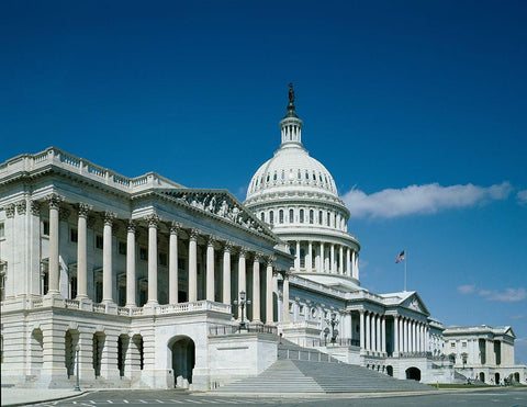 U.S. Capitol, Washington, D.C. Black Ornate Wood Framed Art Print with Double Matting by Highmith, Carol