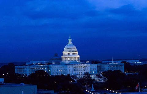 U.S. Capitol, Washington, D.C. #2 White Modern Wood Framed Art Print with Double Matting by Highmith, Carol