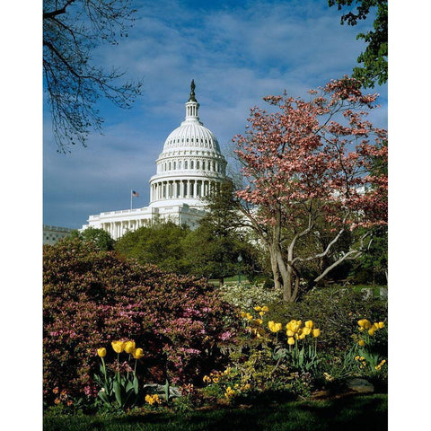 U.S. Capitol, Washington, D.C. Number 3 White Modern Wood Framed Art Print by Highmith, Carol