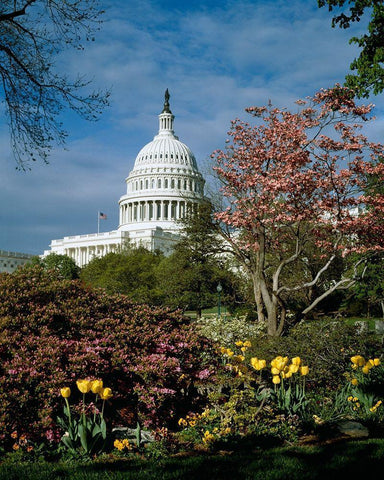 U.S. Capitol, Washington, D.C. Number 3 White Modern Wood Framed Art Print with Double Matting by Highmith, Carol