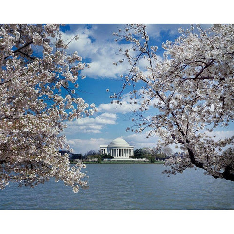 Jefferson Memorial with cherry blossoms, Washington, D.C. Gold Ornate Wood Framed Art Print with Double Matting by Highmith, Carol