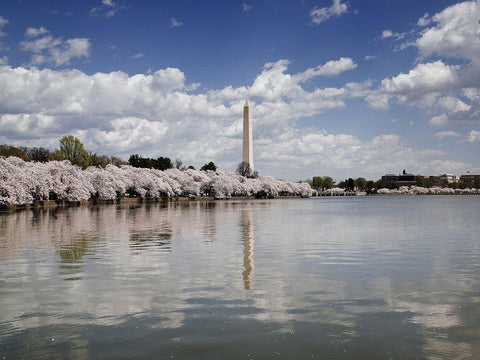 Washington Monument, Washington, D.C. Black Ornate Wood Framed Art Print with Double Matting by Highmith, Carol