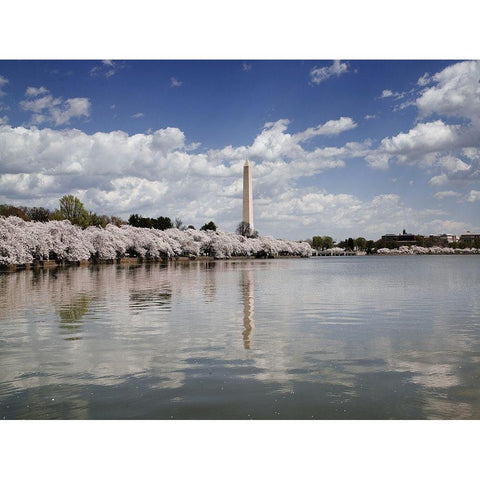 Washington Monument, Washington, D.C. White Modern Wood Framed Art Print by Highmith, Carol