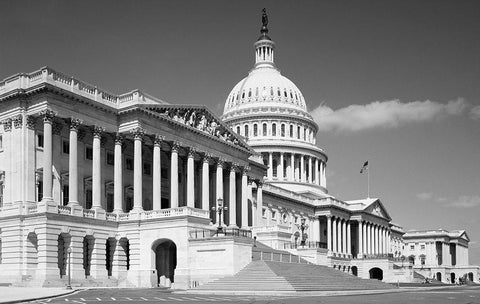 U.S. Capitol, Washington, D.C. - Black and White Variant Black Ornate Wood Framed Art Print with Double Matting by Highmith, Carol