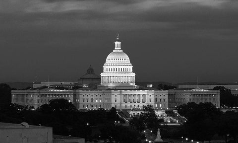 U.S. Capitol, Washington, D.C. Number 2 - Black and White Variant Black Ornate Wood Framed Art Print with Double Matting by Highmith, Carol