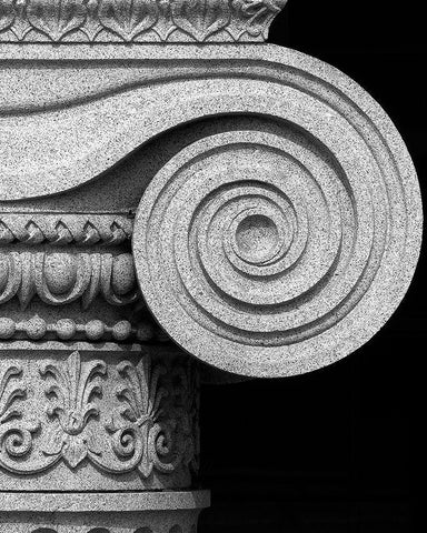 Column detail, U.S. Treasury Building, Washington, D.C. - Black and White Variant Black Ornate Wood Framed Art Print with Double Matting by Highmith, Carol