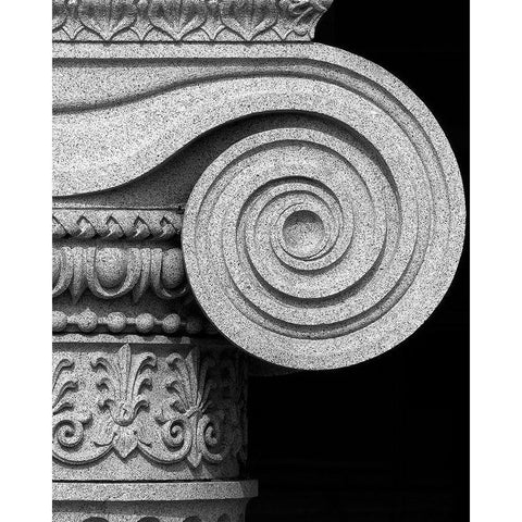 Column detail, U.S. Treasury Building, Washington, D.C. - Black and White Variant Black Modern Wood Framed Art Print with Double Matting by Highmith, Carol